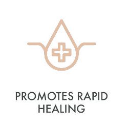 Promotes Rapid Healing